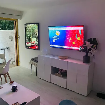3 Pieces Terrasse, Jardin Apartment Cannes